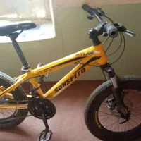 دوچرخه حرفه ای سان اسپید ۲۰