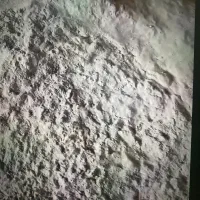 غبار سیلو گندم ( خوراک دام و طیور)