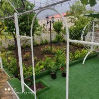 هرس فرم دهی و باردهی درختان میوه توسط استاد هرس|خدمات باغبانی و درختکاری|تبریز, |دیوار