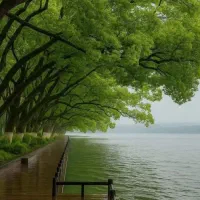 طعبیت گردی .