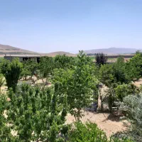 فروش باغ شهری