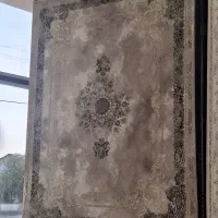 فرش مرینوس طلایی مشهد ۱۵۰۰ شانه|فرش|شیراز, ریشمک|دیوار