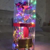 باکس گل رز شیشه ای(دکوری)