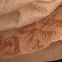 موکت