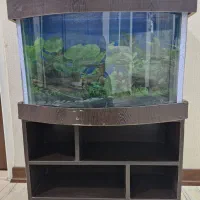 اکواریوم شیشه خم