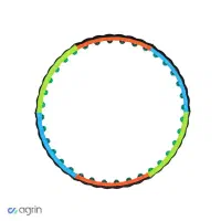 حلقه هولاهوپ حرفه‌ای