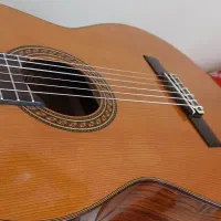 بهترین گیتار برای پیشرفت و حرفه ای شدن|گیتار، بیس، امپلیفایر|کرج, فاز ۲ مهرشهر|دیوار