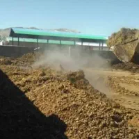 کود گاو صنعتی