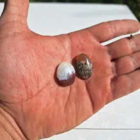 سنگ انگشتر قیمت کاسبی|جواهرات|ساوه, |دیوار