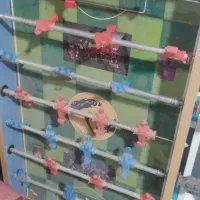 تعدادی وسایل به صورت تک و کلی|ظروف سرو و پذیرایی|بوئین زهرا, |دیوار