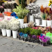 نمایندگی پخش در هر استان|استخدام بازاریابی و فروش|تهران, هلال احمر|دیوار