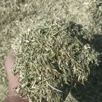 خار شتر درجه یک تناژ آزاد