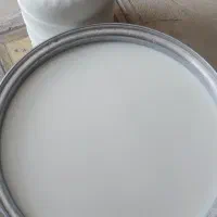 دوغ