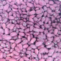 لوبیا قرمز بوجاری شده درجه یک|خوردنی و آشامیدنی|سیدان, |دیوار