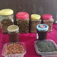 ترشی جانت سبزی جات روب