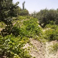 علف چیدن رسیدگی نگهداری  هستم|خدمات باغبانی و درختکاری|اراک, |دیوار