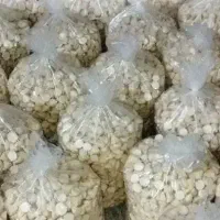 ویزیتور پخش کشک خشک