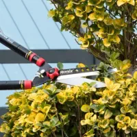 سم‌پاشی  و هرس اصولی درختان / خدمات کامل باغداری|خدمات باغبانی و درختکاری|محمدشهر, زیبادشت|دیوار