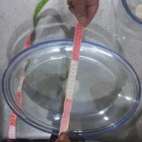 ظرفهای فرانسوی و پیرکس نو و میوه خوری و آجیل خوری|ظروف سرو و پذیرایی|شاهین‌شهر, سعدی شمالی|دیوار