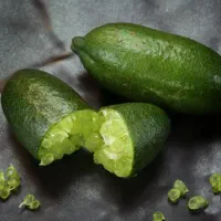رزبری بلوبری بلک بری لوگان بری و ...|گل و گیاه طبیعی|تهران, سعادتآباد|دیوار