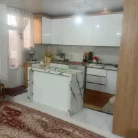 نئوپان کارکرده