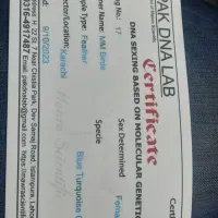 گرینچیک مولد|پرنده|قم, تولید دارو و یخچال|دیوار