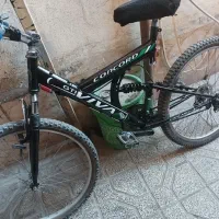 دوچرخه|دوچرخه، اسکیت، اسکوتر|کردکوی, |دیوار