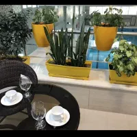 بلیط استخر پازیریک