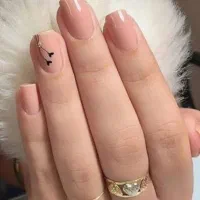 زیبایی بیتا