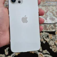 اپل ۱۲ پرو ۲۵۶