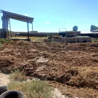 پرورش اسب و گوسفند و گاوداری|اجارهٔ دفتر صنعتی، کشاورزی، تجاری|مراغه, |دیوار