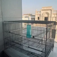 قفس حرفه ای ودرحدنو طوطی