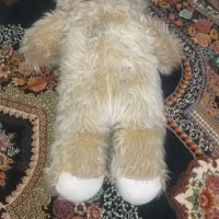 خرس بزرگ بزرگ نرم نرم