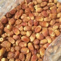 فروش خرمای قصب حدود 100کیلو بصورت یک جا
