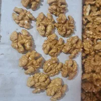 مغز گردو ترشی انبه کشمش قلمی بادام هندی