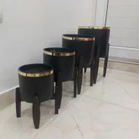 گل و....|گل و گیاه طبیعی|بانه, |دیوار