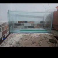 اکواریوم|ماهی|کرج, چمن|دیوار