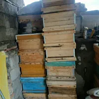 کندوی زنبور عسل