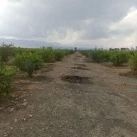 فروش توافقی قطعه ملک باغی در روستای خیراباد رودان|فروش زمین و ملک کلنگی|میناب, |دیوار