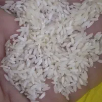 برنج عنبربو