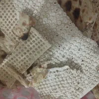 نان خشک درجه یک بدون یه ذره اشغال