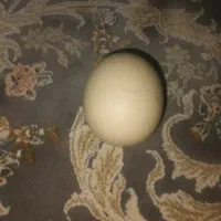 سنگ اسیاب