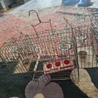 تله سهره|لوازم جانبی حیوانات|همدان, |دیوار