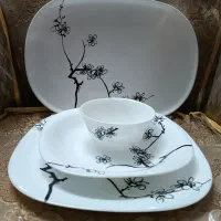 ظروف غذاخوری