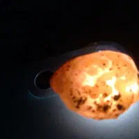 سنگ قیمتی|کلکسیون اشیاء عتیقه|ابهر, |دیوار