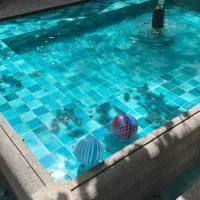 250-متر-زمین-کاسبی-فرصت-ورود-به-بازار-ملک