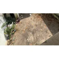 اجاره ویلایی شهری کاشف شرقی|اجارهٔ خانه و ویلا|لاهیجان, قیام|دیوار