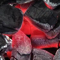 تولید و فروش زغال چوب میوه