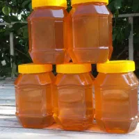 فروش عسل|عمدهفروشی|سیسخت, |دیوار