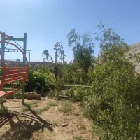 فروش ۲۸۰۰متر باغ و دامداری در تربت جام|فروش دفتر صنعتی، کشاورزی، تجاری|تربت جام, میان جام|دیوار